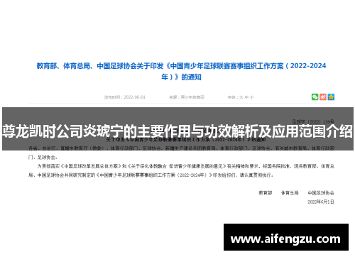 尊龙凯时公司炎琥宁的主要作用与功效解析及应用范围介绍