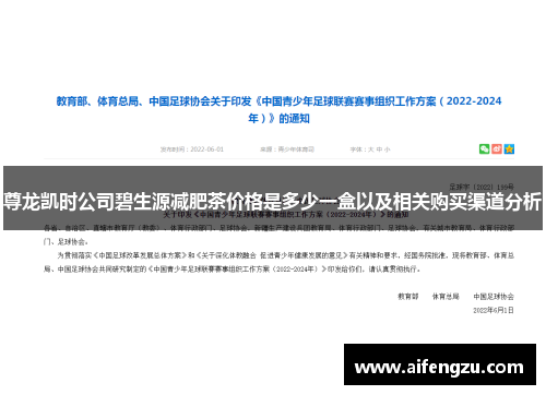 尊龙凯时公司碧生源减肥茶价格是多少一盒以及相关购买渠道分析