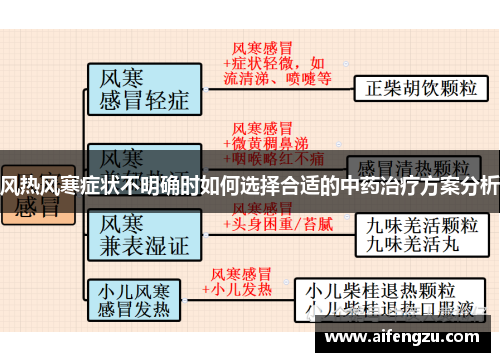 风热风寒症状不明确时如何选择合适的中药治疗方案分析