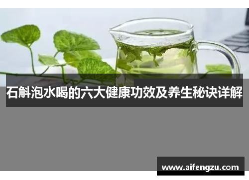 石斛泡水喝的六大健康功效及养生秘诀详解