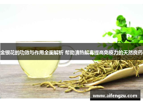 金银花的功效与作用全面解析 帮助清热解毒提高免疫力的天然良药
