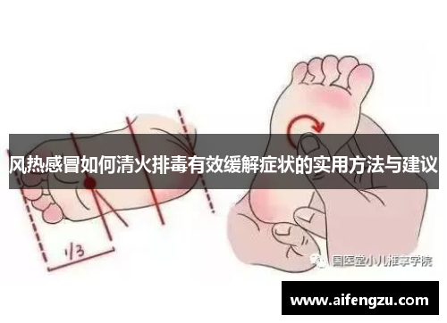 风热感冒如何清火排毒有效缓解症状的实用方法与建议